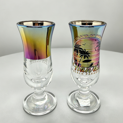 Hawaii Tourist Souvenir Glass