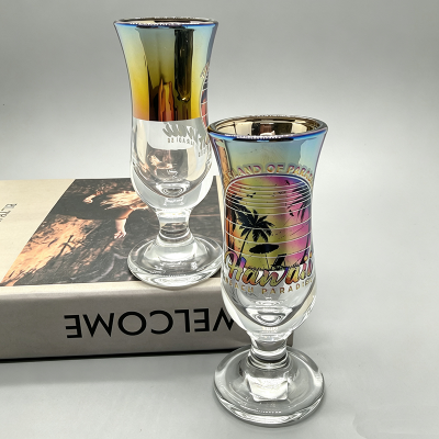 Hawaii Tourist Souvenir Glass